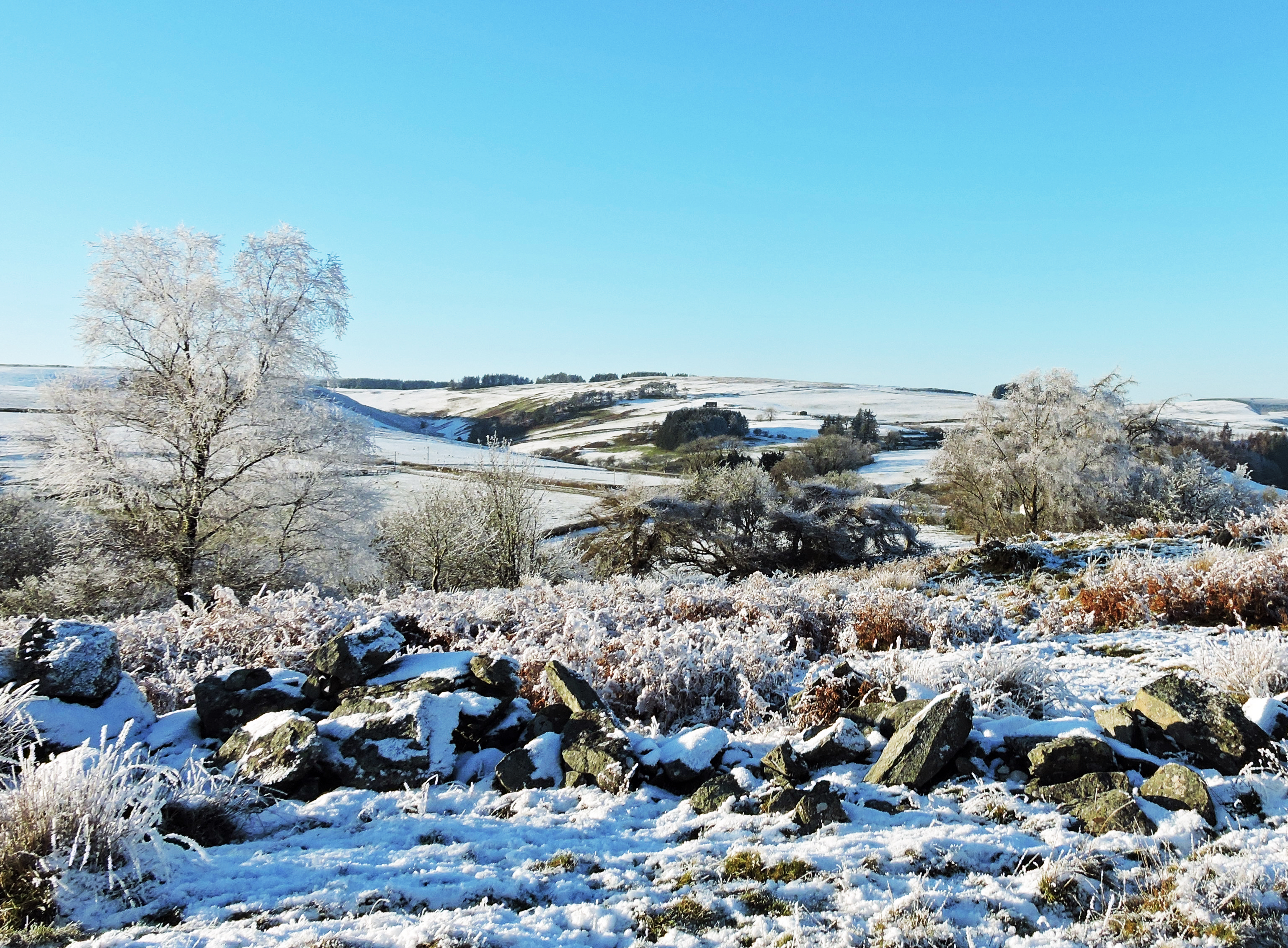 LATE WINTER Bill Bagley Photography